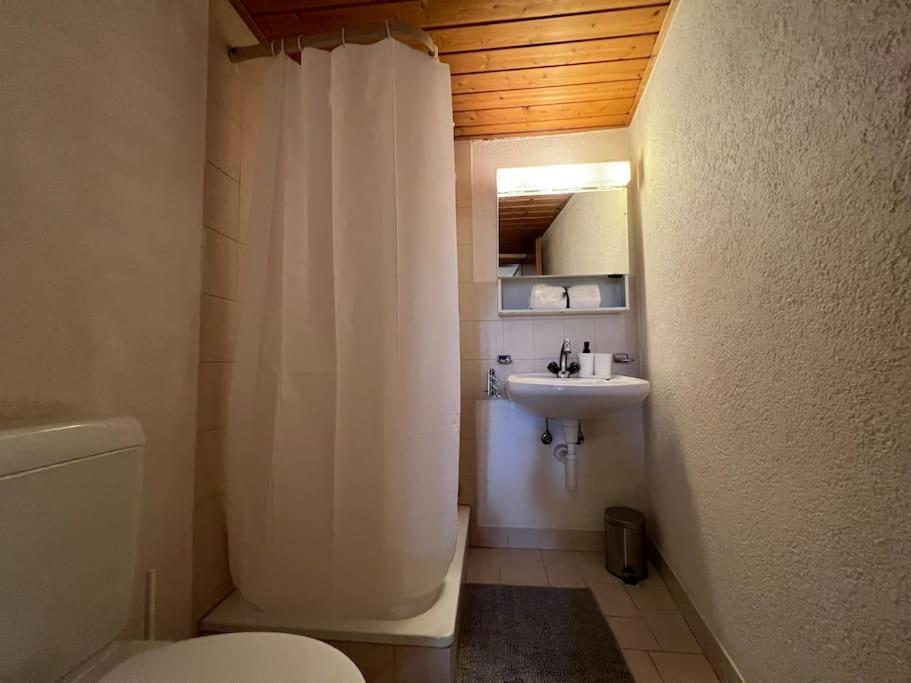 Charmant Appartement En Duplex A Porrentruy Luaran gambar